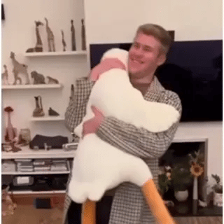 Riesiges Silly Goose Kissen + Plüschtier 14 5B19AB7D 1161 4ECE BA86 260364C46252