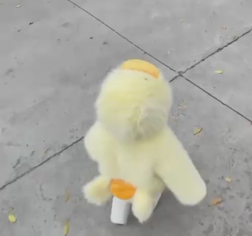 Silly Goose Kid’s Version